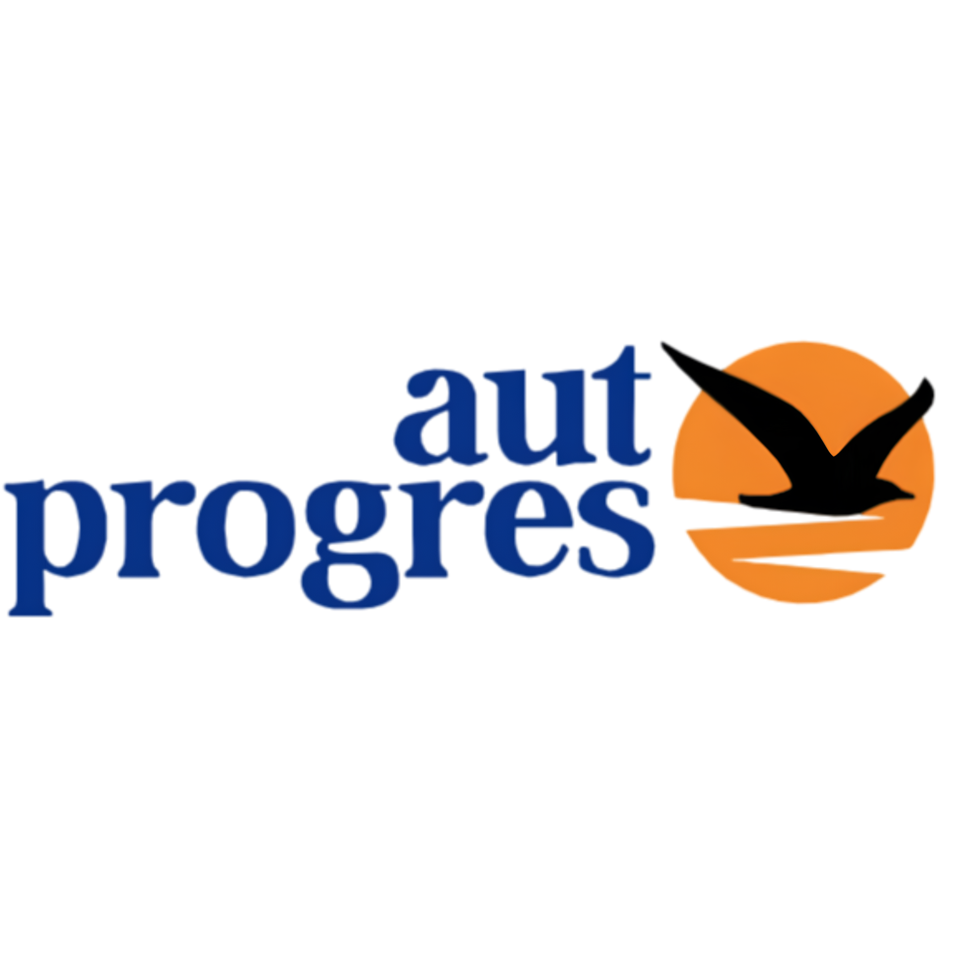 Auto Progreso