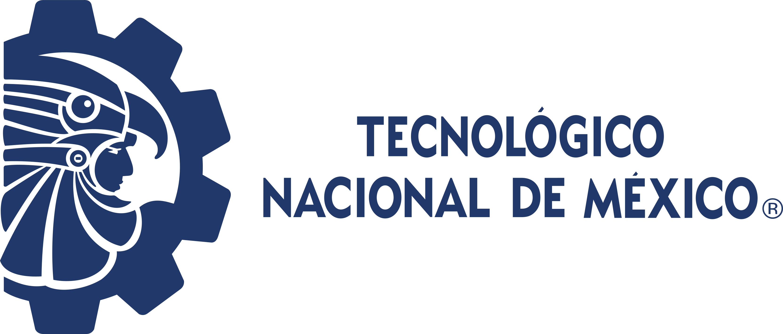 Tecnológico Nacional De México